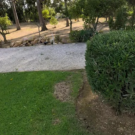Quinta
