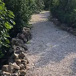 بيت للعطل Quinta