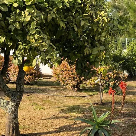 Tatil Evi Quinta *
