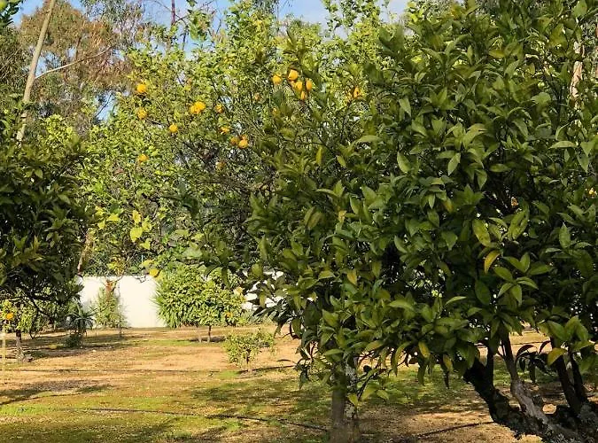 Quinta بيت للعطل