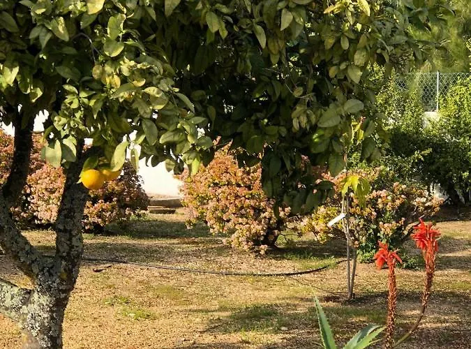 بيت للعطل Quinta *