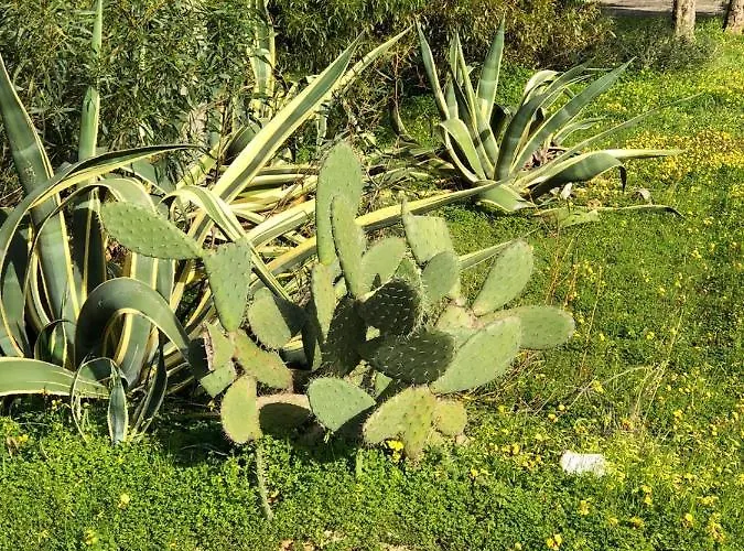 بيت للعطل Quinta