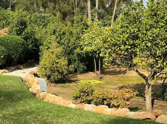 Quinta البوفيرا