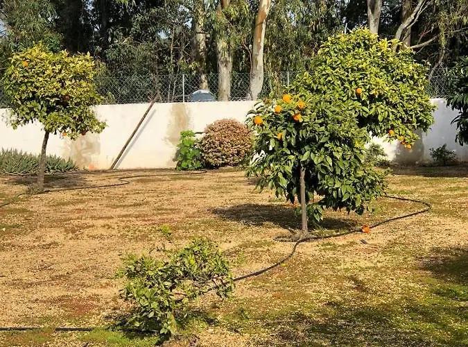 بيت للعطل Quinta البوفيرا