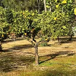 Quinta Feriehus Albufeira