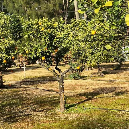 Quinta Дом отдыха Албуфейра